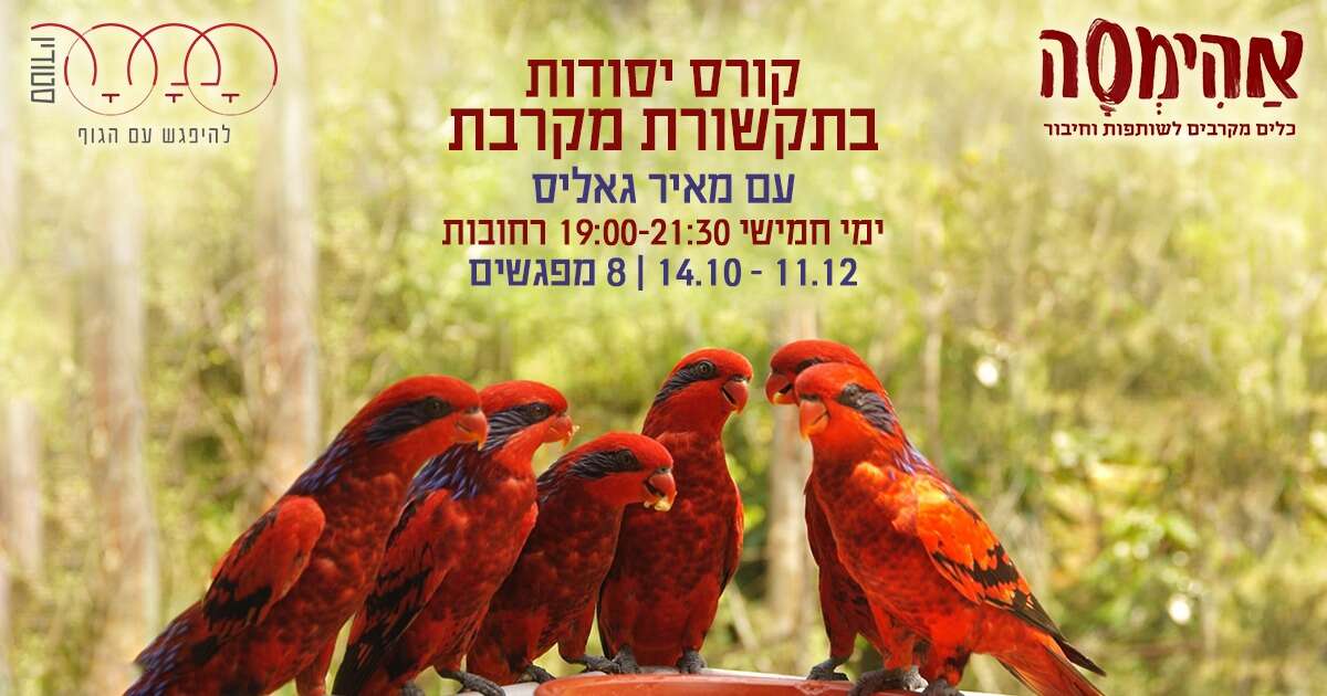 קורס יסודות תקשורת מקרבת עם מאיר גאליס