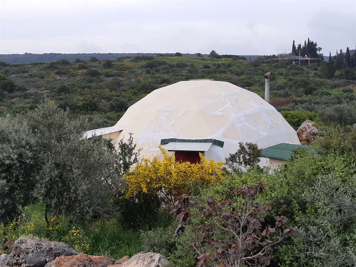 סופ"ש תנועה אותנטית ומדיטציה בטבע