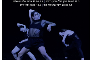 טרנס אוואטר - מאת מירב כהן