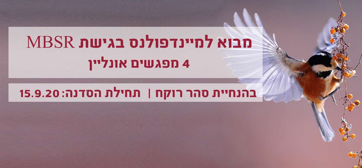 סדנת מבוא למיינדפולנס 4 מפגשים אונליין