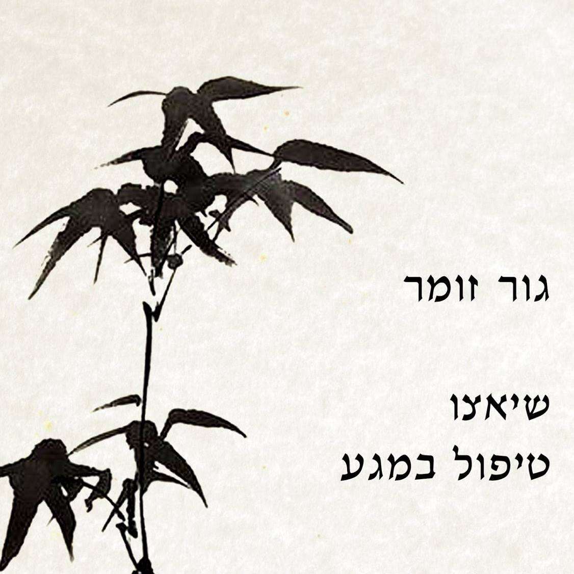 גור זומר - שיאצו וטיפול במגע