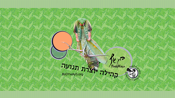 רוקדים חלומות BoDYwAyS Connect #4