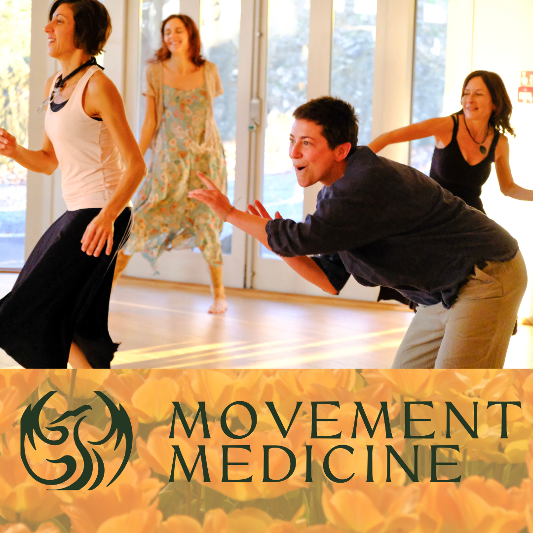 שיעורי MOVEMENT MEDICINE בזום און ליין