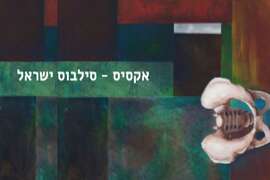 אקסיס - סילבוס ישראל