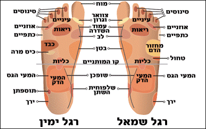 רפלקסולוגיה וטכניקות מגע והילינג