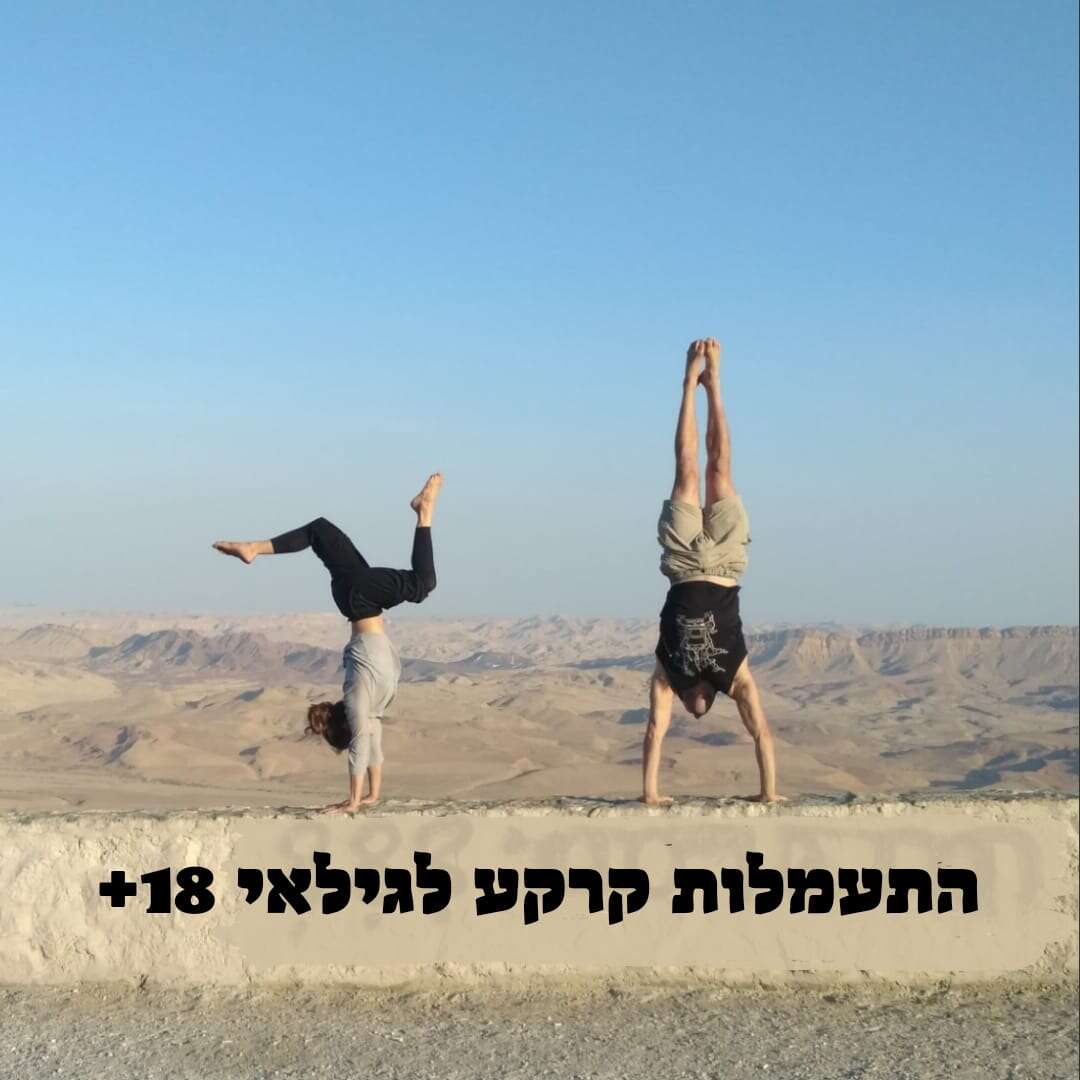 התעמלות קרקע לבוגרים