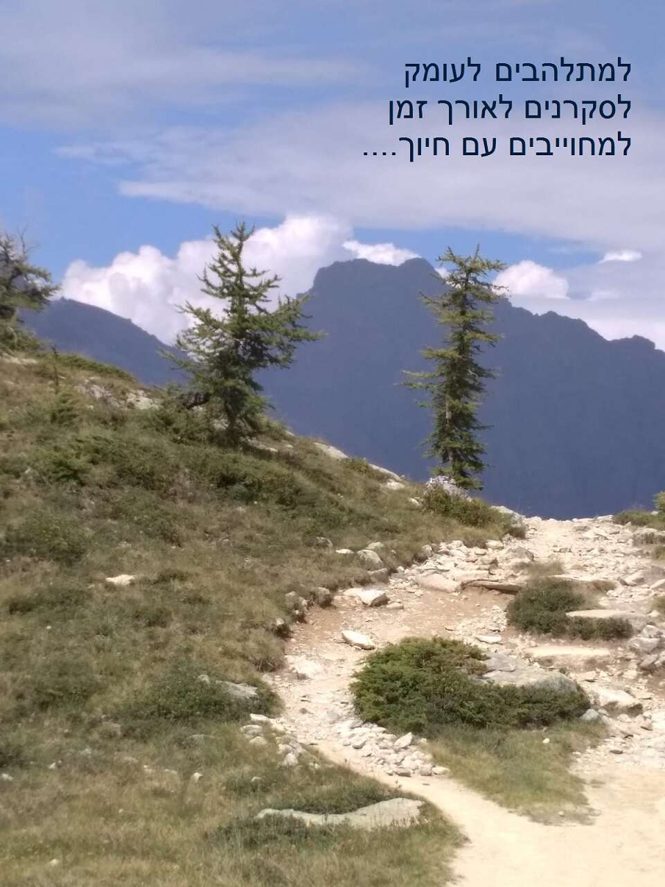 הכשרת מורי יוגה שנה א` - ק טבעון.