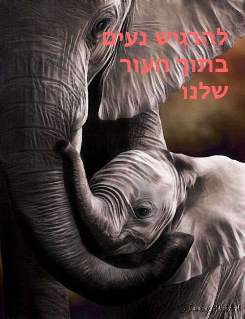 להרגיש נוח בתוך העור שלנו