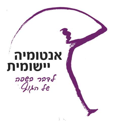 קורס אנטומיה יישומית. לדבר בשפה של הגוף